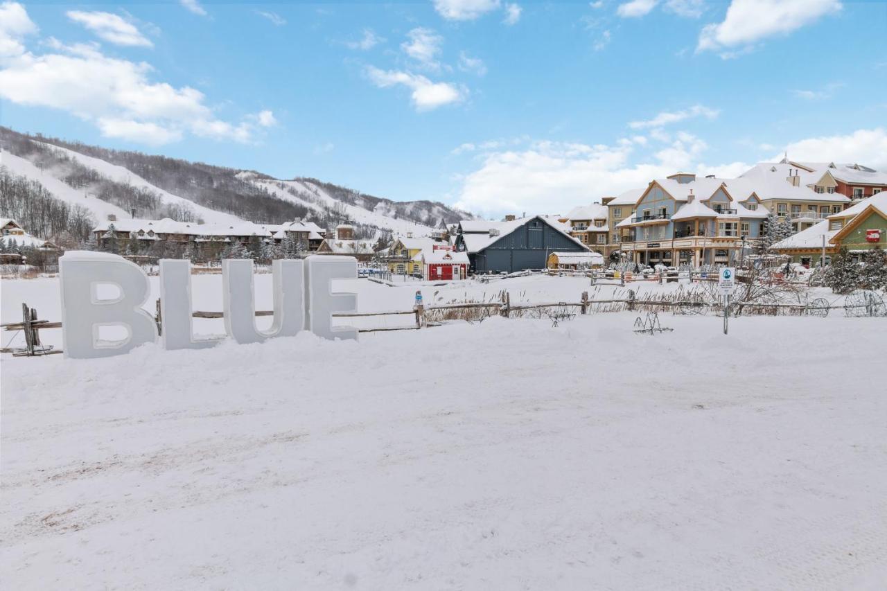 2Br Slopeside In Chateau Ridge 蓝山 外观 照片